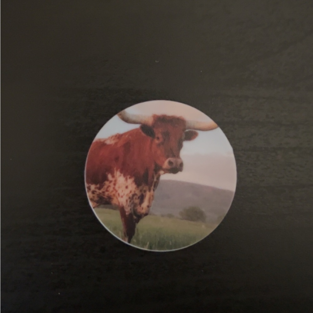 Rustic Longhorn Cell Phone Grip /Stand